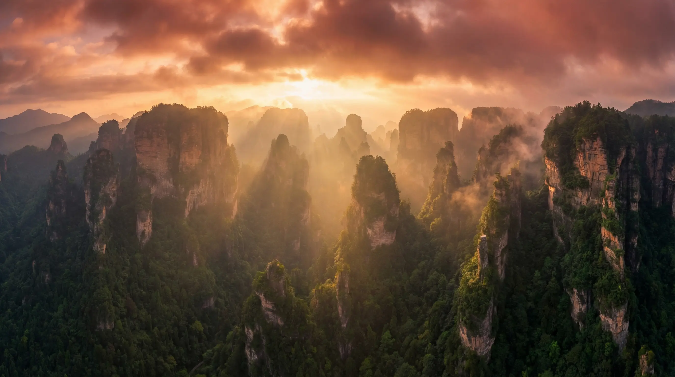 软香苏玛丽小说免费阅读 自然风光视频封面